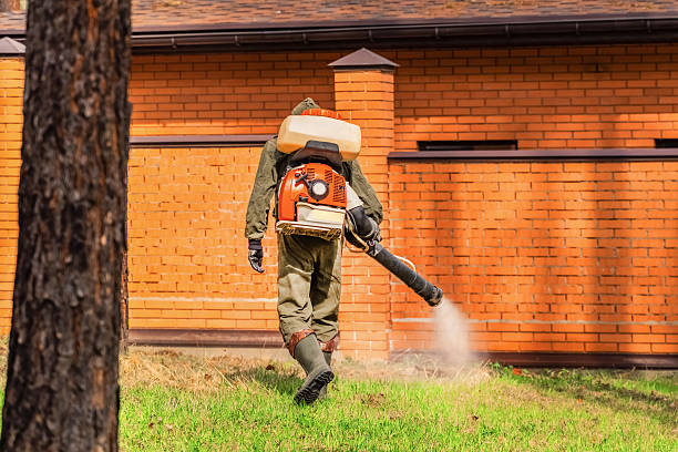 Bed Bug Clearance Verification and Documentation in Lantana